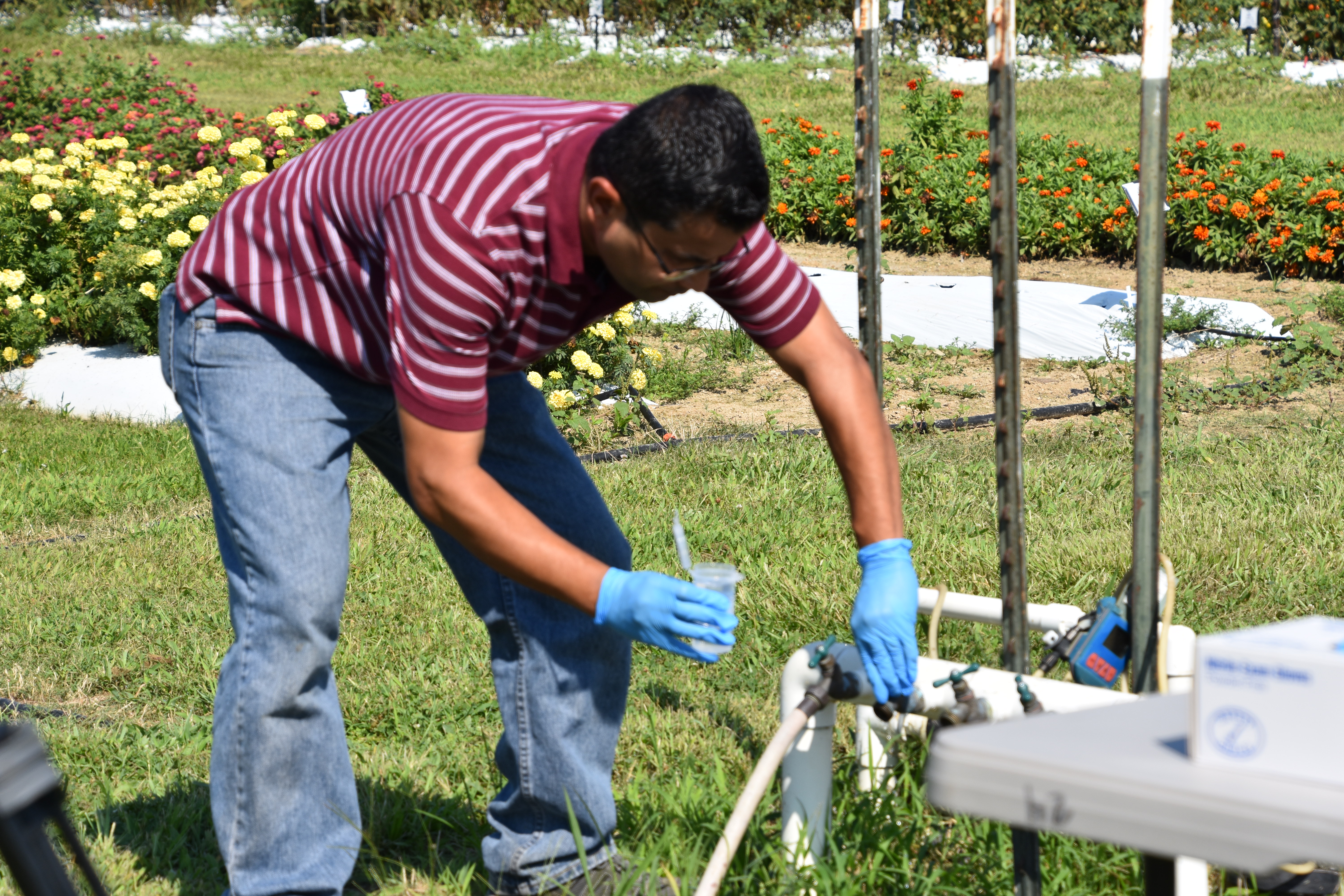 LDAF, AgCenter join to offer safety program to produce growers 